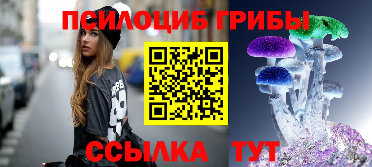 Керчь  Галлюциногенные грибы Psilocybe  Вход с VPN  Галлюциногенные грибы Psilocybine cubensis 